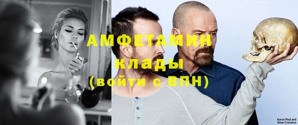 мет Алексин