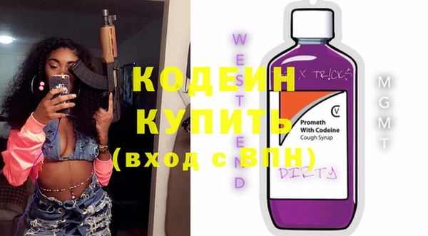 apvp Гусев