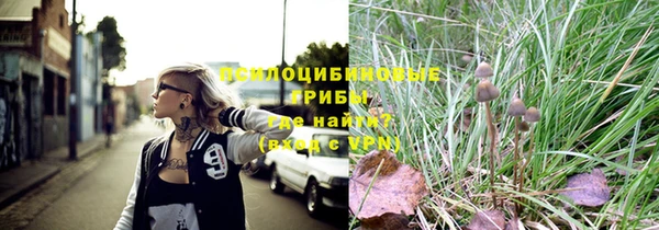 мет Алексин