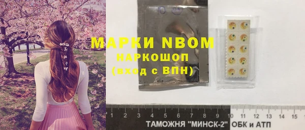 мет Алексин