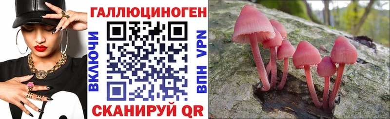 Псилоцибиновые грибы GOLDEN TEACHER  ОМГ ОМГ ССЫЛКА  Омутнинск  сколько стоит 